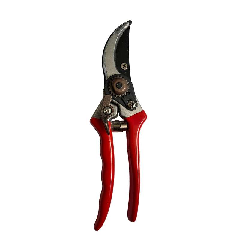 قیچی باغبانی مدل dtn-4