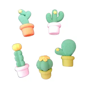 پاک کن پرنیان هفت رنگ مدلCactus بسته 5 عددی