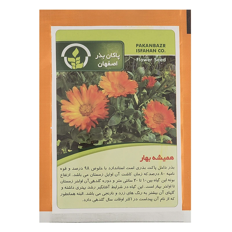 بذر گل همیشه بهار پاکان بذر