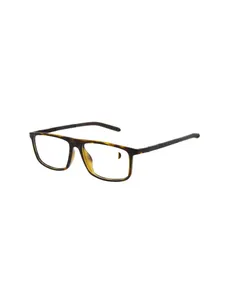 Sunglasses - اسپاین