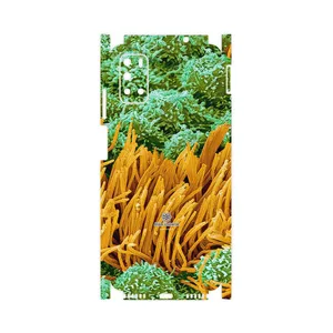 MAHOOT Atom Universe 6-FullSkin Cover Sticker for Gplus Z10