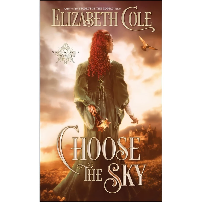 کتاب Choose the Sky اثر Elizabeth Cole انتشارات Skyspark Books