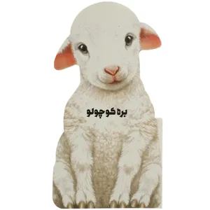 کتاب داستان زندگی بره‌ کوچولو اثر جیووانی کاویزل