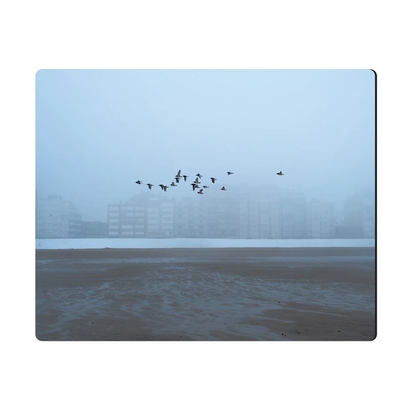 ماوس پد الینور مدل MPE317