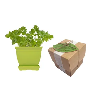 مجموعه کاشت گلدونه سبزی جعفری