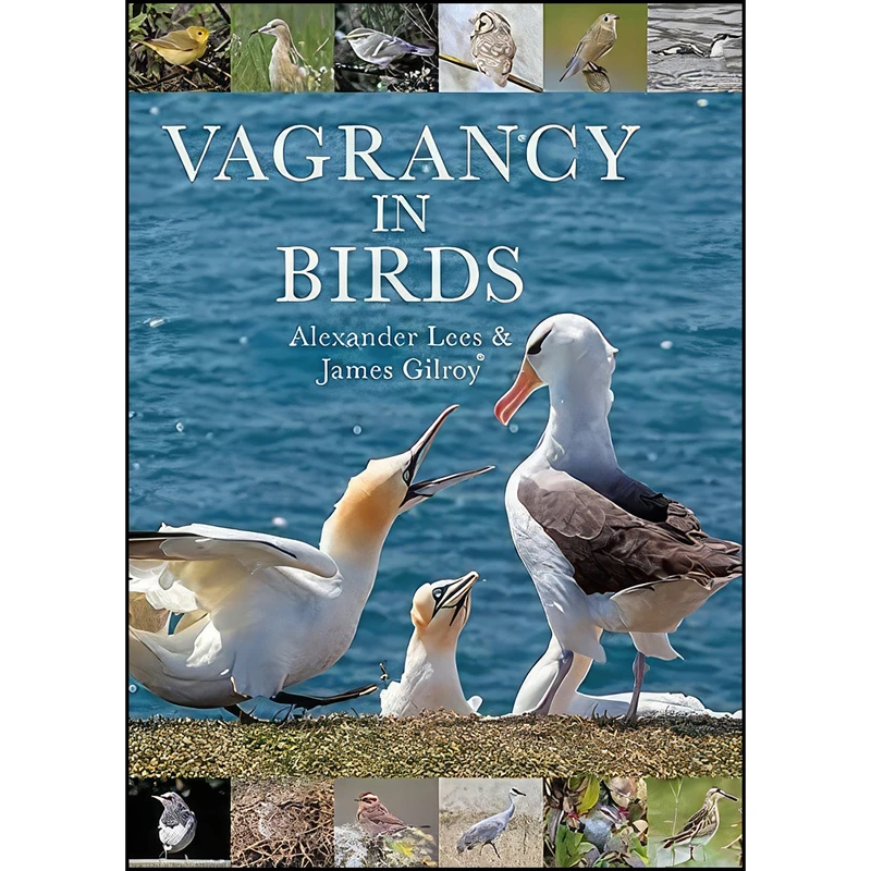کتاب Vagrancy in Birds اثر Alexander Lees and James Gilroy انتشارات Helm