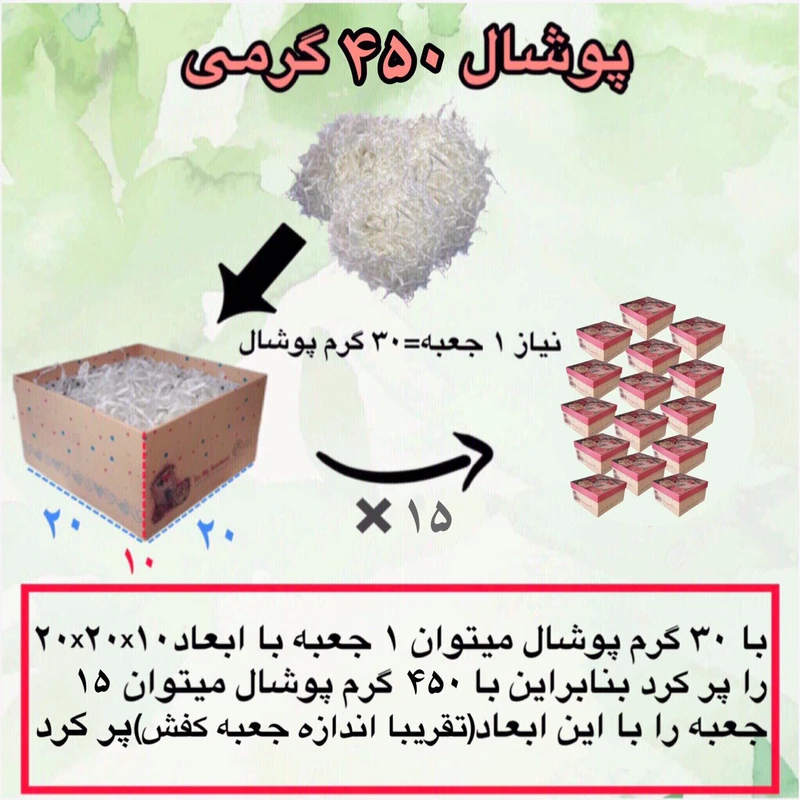 عکس شماره 3