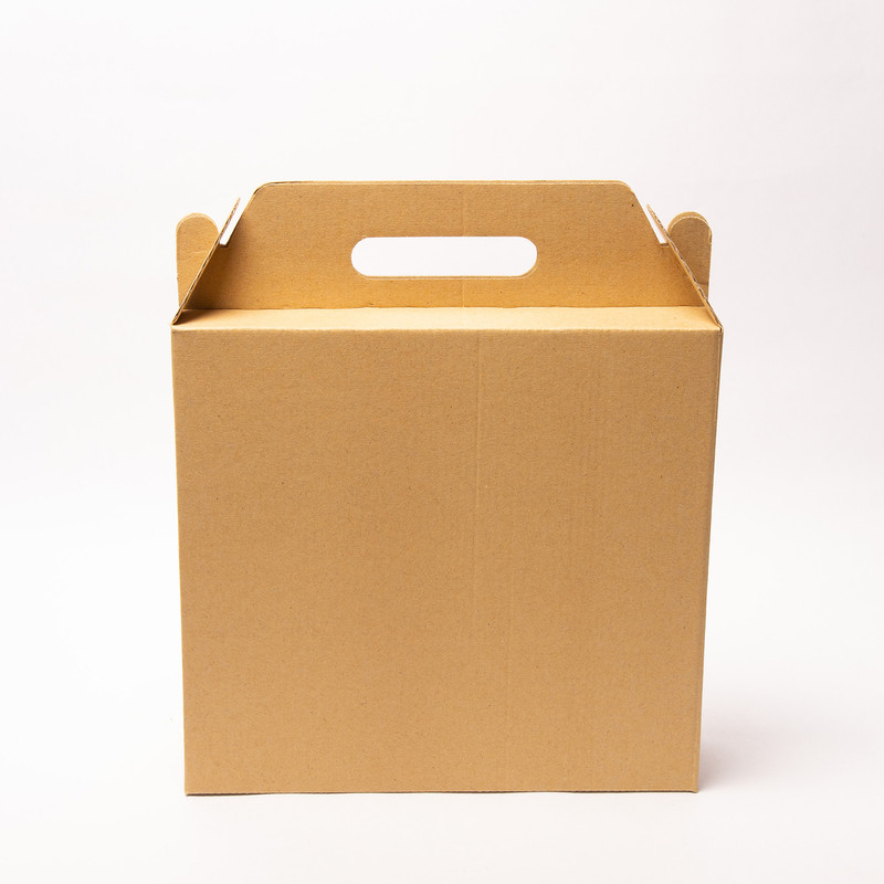 تراریوم طبیعی گلوریا سیسترز مدل تقویم کد 010