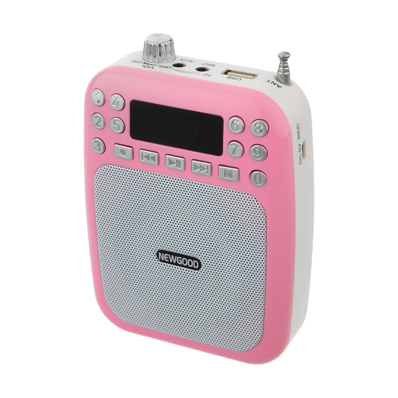 آمپلی فایر قابل حمل نیوگود مدل VA-3