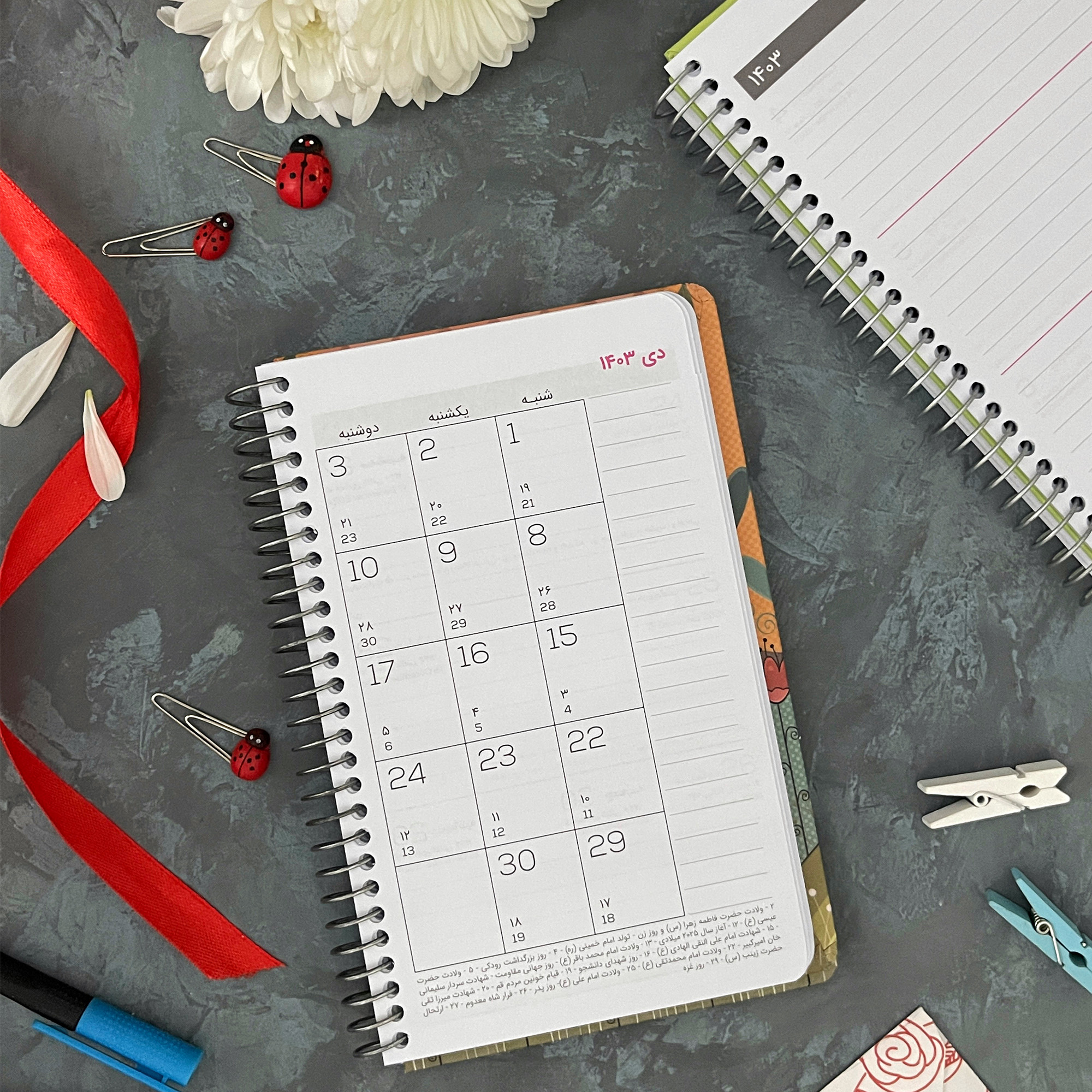 سالنامه سال 1403 دایان مدل آلیس کد 08