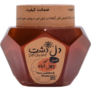 عسل چهل گیاه دل دشت - 500 گرم