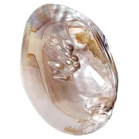 صدف تزیینی مدل مادر مروارید ساز