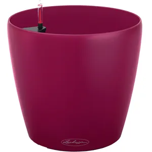 گلدان خودآبرسان لچوزا مدل Classico Color 21
