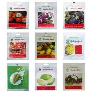 مجموعه کاشت بذر صیفی جات خانگی آذر سبزینه کد 0014 بسته 9 عددی