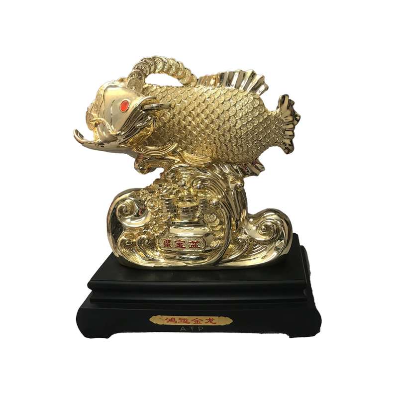 مجسمه مدل MO-FISH