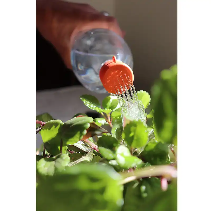 دوش سفری مدل RR-WS5 مجموعه 4 عددی