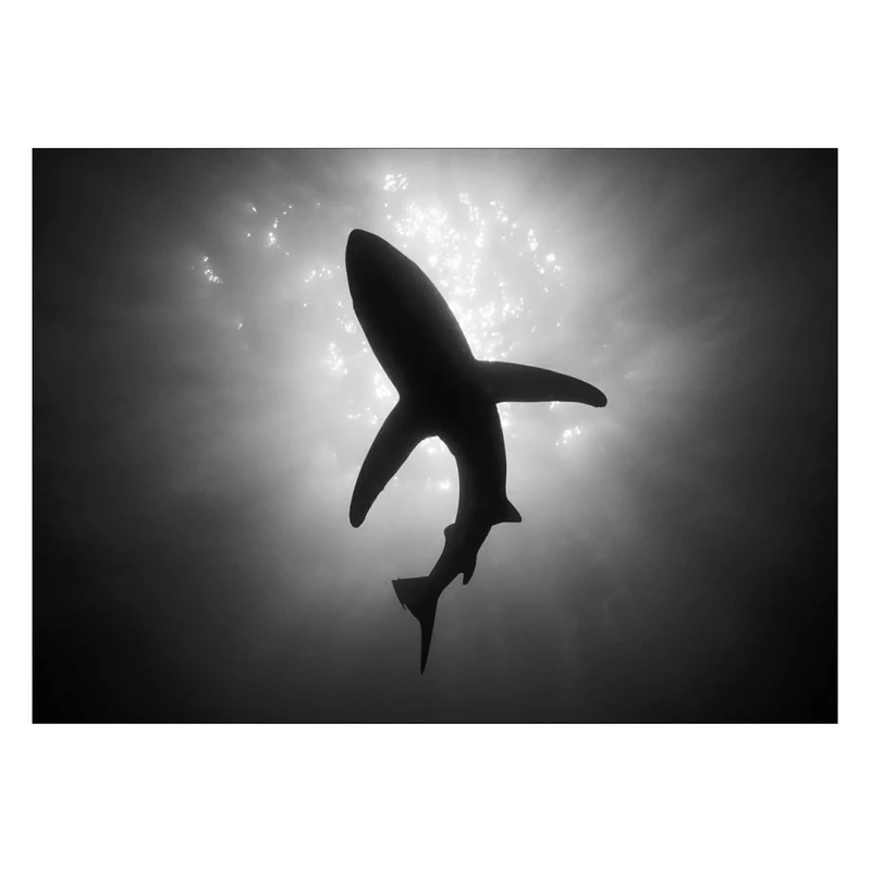 تابلو شاسی ونسونی طرح Waterfall سایز 30 × 40 سانتی متر