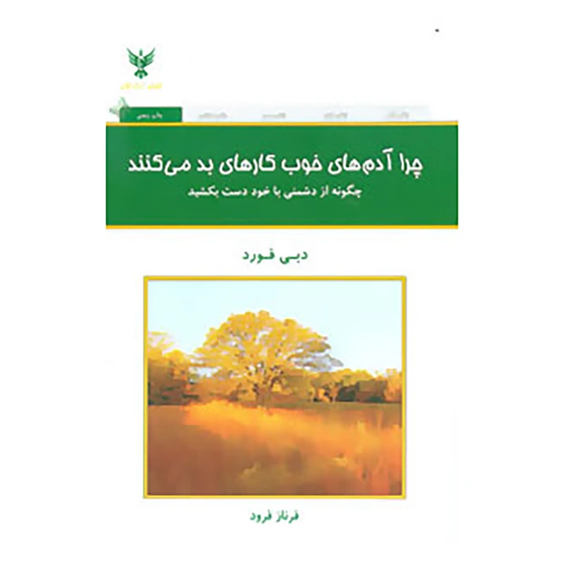 کتاب چرا آدم های خوب کارهای بد می کنند؟ اثر دبی فورد
