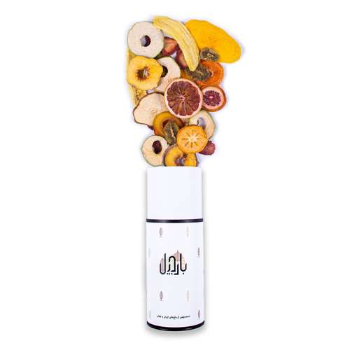 مخلوط میوه‌ خشک بارجیل - 500 گرم