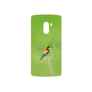 MAHOOT European bee-eater Cover Sticker for Lenovo A7010