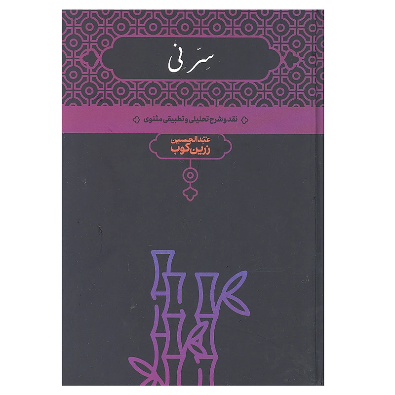 کتاب سرنی نقدو شرح تحلیلی و تطبیقی مثنوی اثر عبدالحسین زرین کوب انتشارات علمی