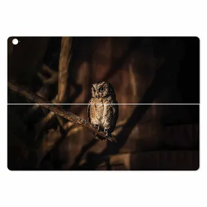 MAHOOT Owl Cover Sticker for ASUS Transformer 3 Pro 2016