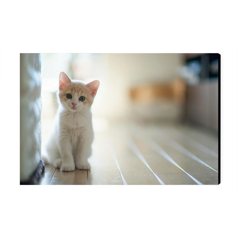 تابلو شاسی عرش مدل فانتزی گربه بامزه کد As3303