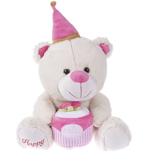 عروسک طرح خرسی مدل Cake-Gift ارتفاع 55 سانتی متر