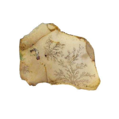 سنگ عقیق شجر مدل 5061