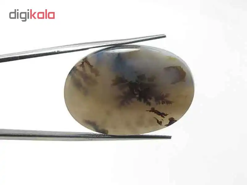 سنگ عقیق شجر مدل 5339