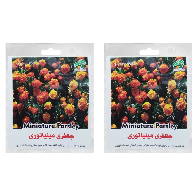 بذر گل جعفری مینیاتوری گرین فارم کد GR 127 بسته 2 عددی