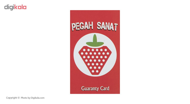 جا دستمالی پگاه صنعت مدل JD-310 جا دستمالی پگاه صنعت مدل JD-310