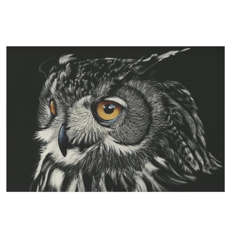 تابلو شاسی طرح جغد کد 0220