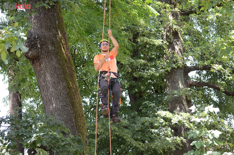 هارنس سی تی مدل ALP TEC 2