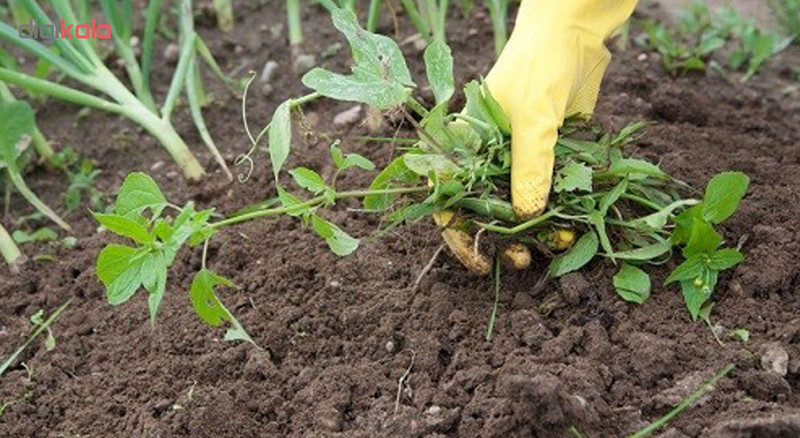 بیلچه باغبانی ال اس تی مدل LST-G28