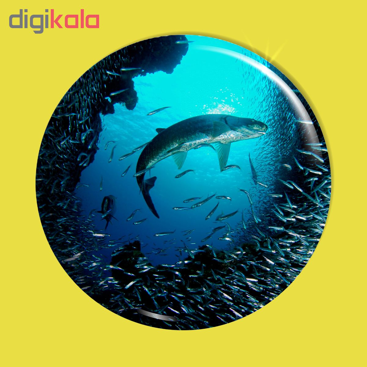 پیکسل اسانا طرح اقیانوس ماهی کوسه  کد  ASA120