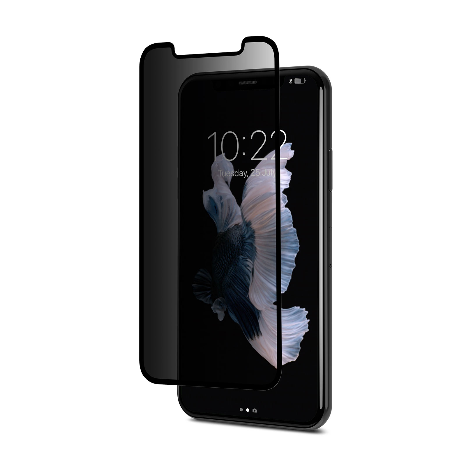 محافظ صفحه نمایش حریم شخصی موشی مدل ion مناسب برای گوشی موبایل اپل  iPhone X/iPhone XS
