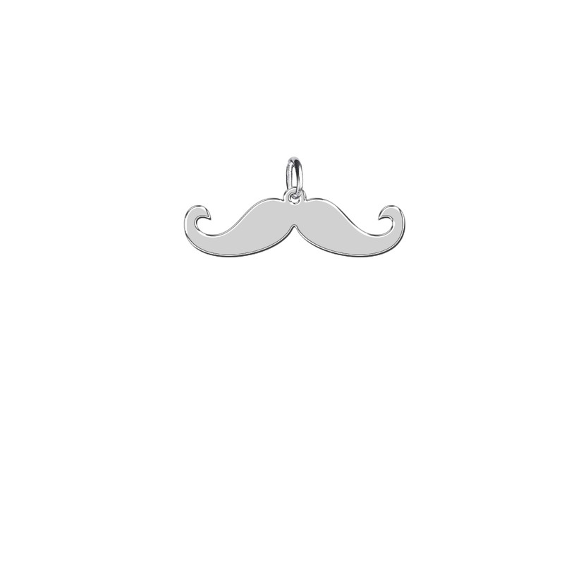 آویز گردنبند نقره زنانه ترمه 1طرح سبیل کد E376