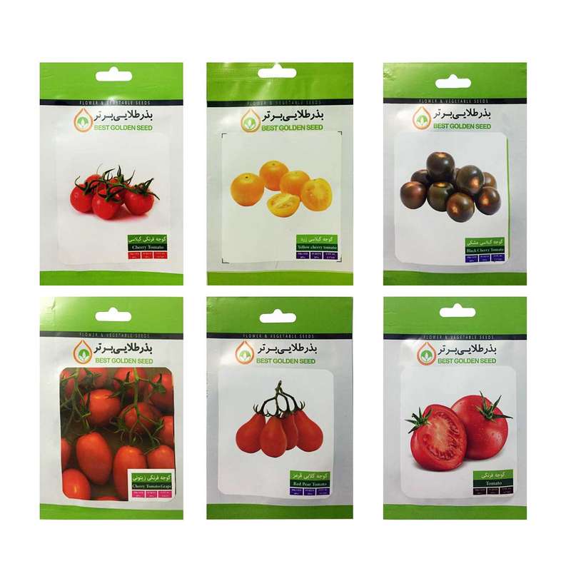 بذر گوجه فرنگی بذر طلایی برتر کد P-G-BZT-06 مجموعه 6 عددی