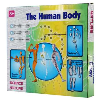 بازی آموزشی طرح مولاژ آناتومی بدن مدل The Human Body 3303