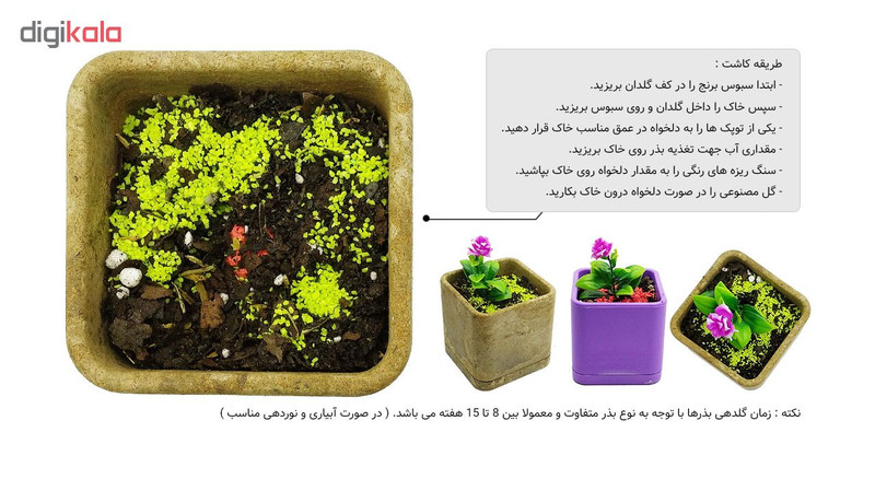 مجموعه بذر گل گیفو مدل G03