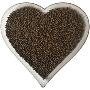 مجموعه آماده کاشت سبزه بذر ماشک فصل سبز طرح Heart کد H-M-01