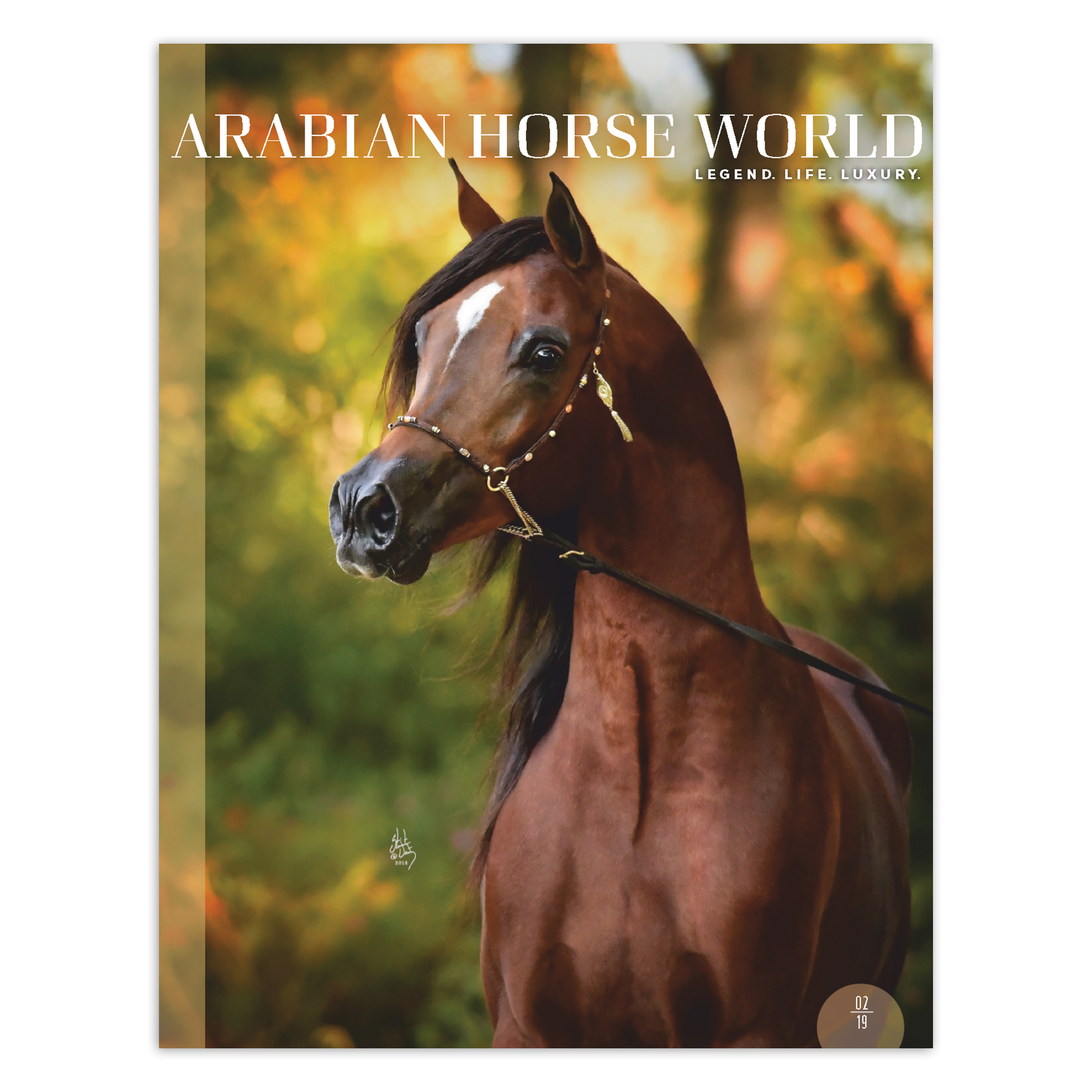 مجله Arabian Horse World فوریه 2019