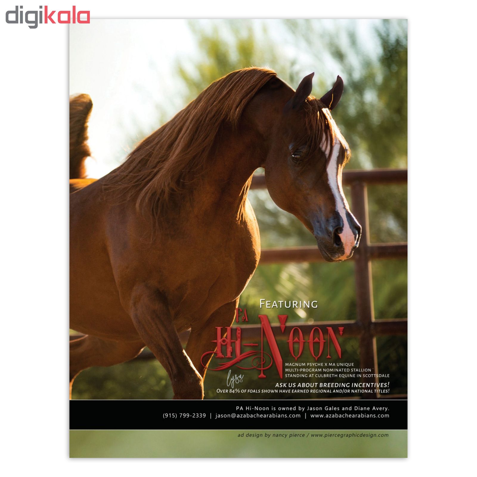 مجله Arabian Horse World فوریه 2019