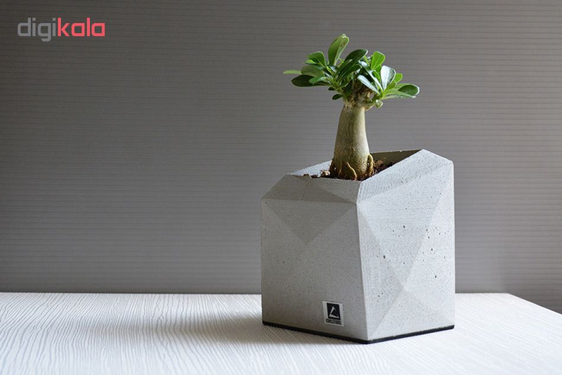 گلدان استودیو اشل مدل E13