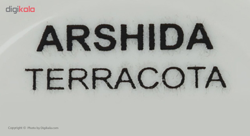 رژ گونه آرشیدا سری Terracotta شماره 304