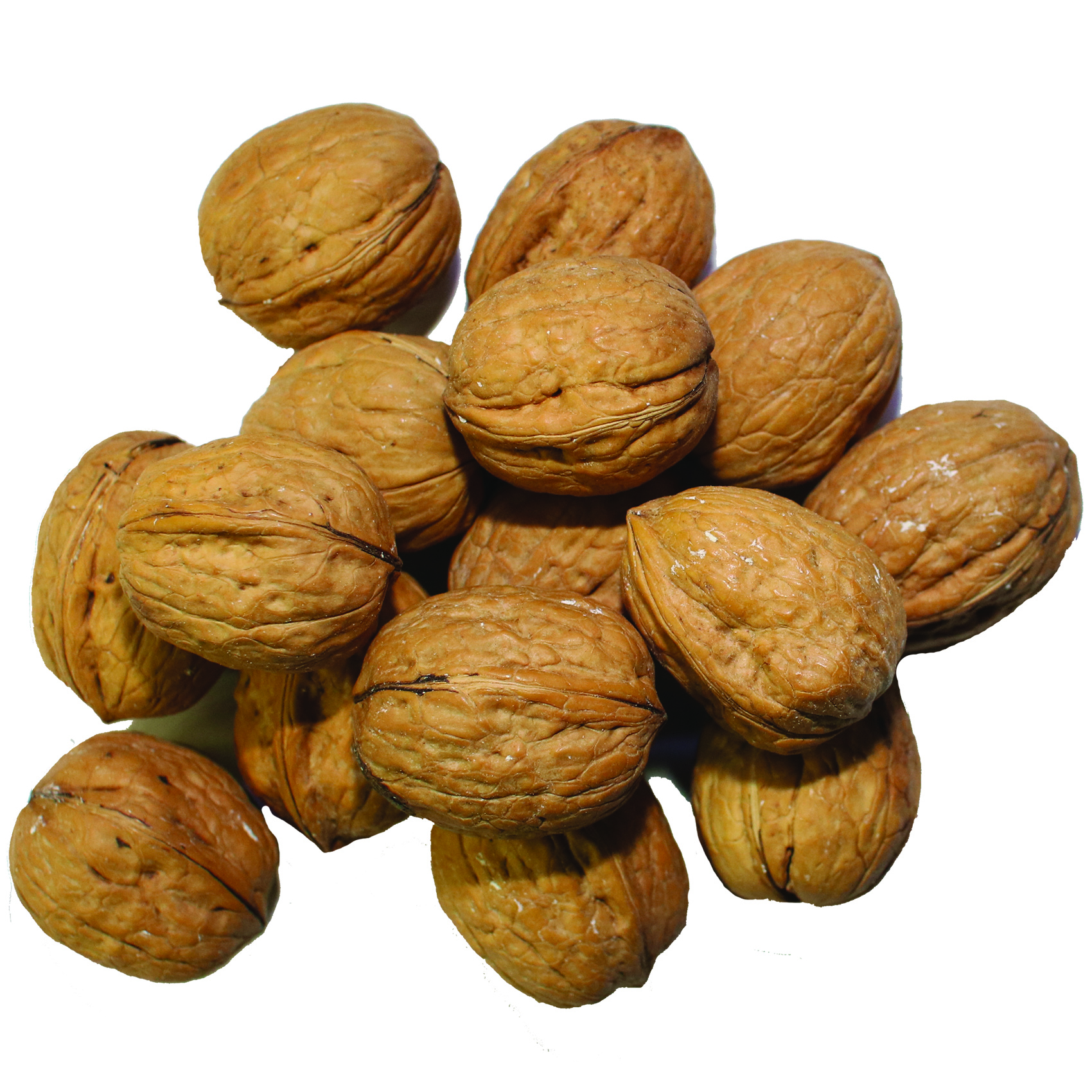 گردو فله مقدار 500 گرم
