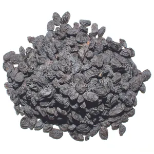 مویز بی دانه فله مقدار 500 گرم