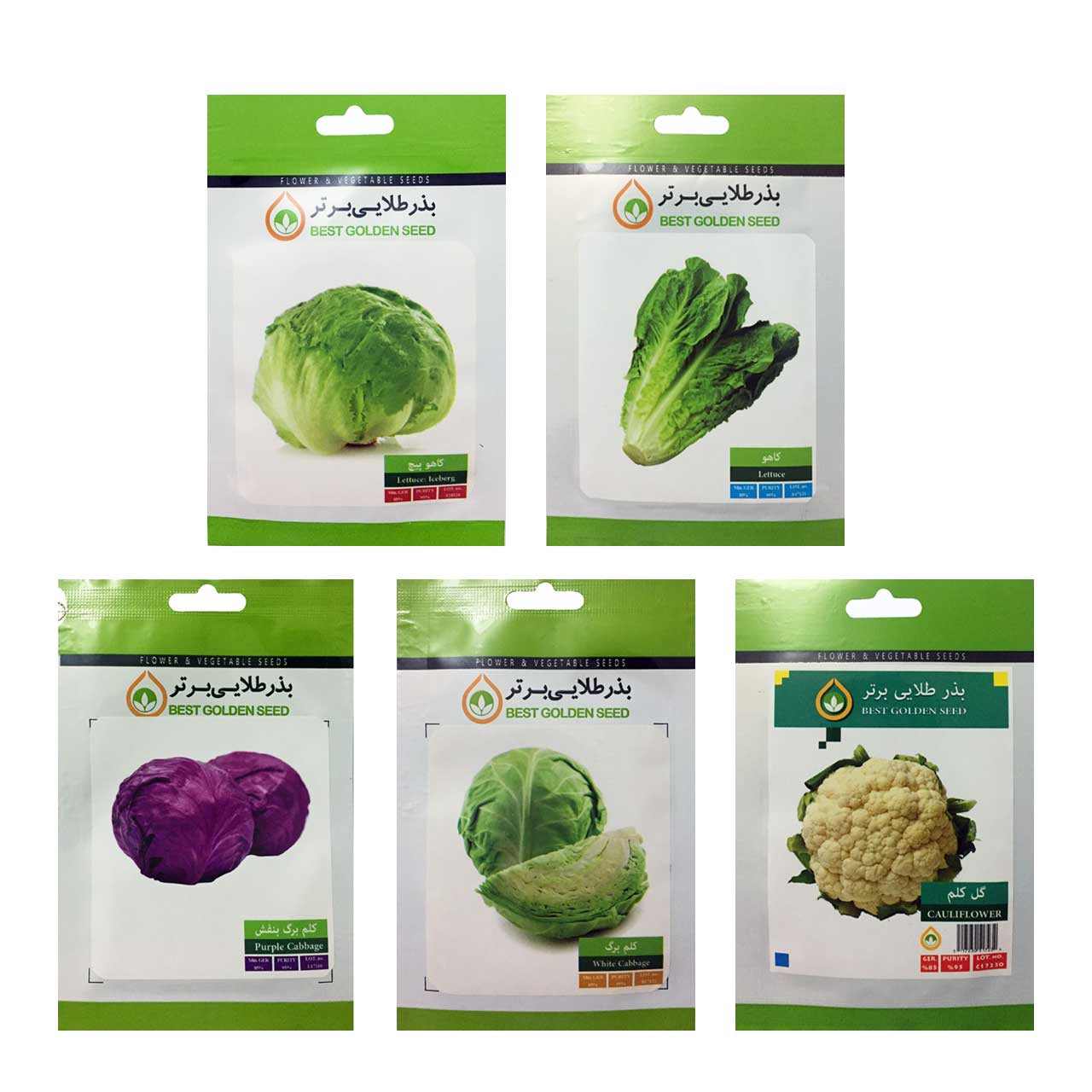 بذر کلم و کاهو بذر طلایی برتر کد P-KK-BZT-08 مجموعه 5 عددی