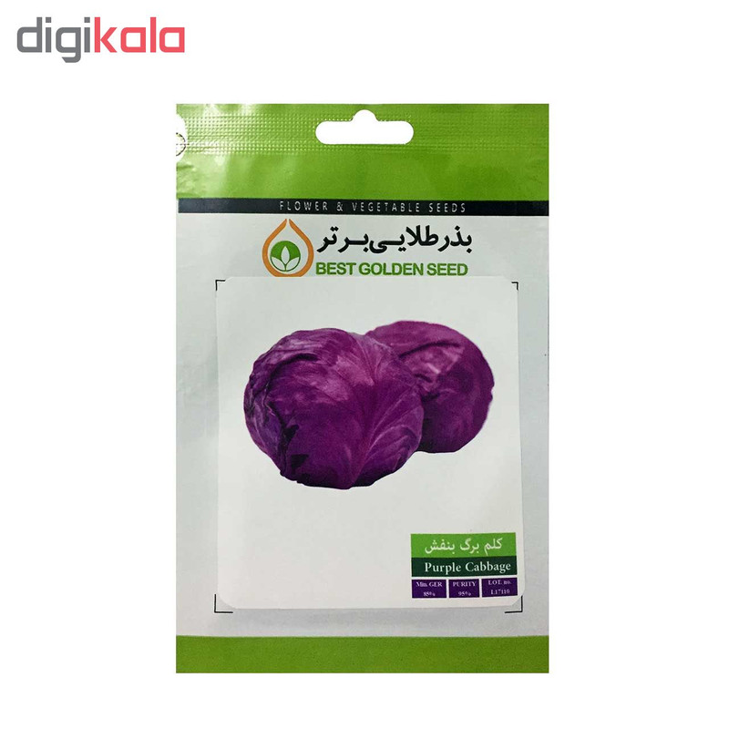 بذر کلم و کاهو بذر طلایی برتر کد P-KK-BZT-08 مجموعه 5 عددی